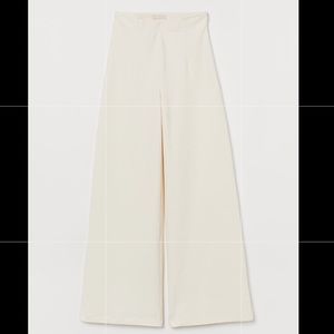 🔥ISO🔥 In Search Of H&M Trend Wide Leg Pants XS
